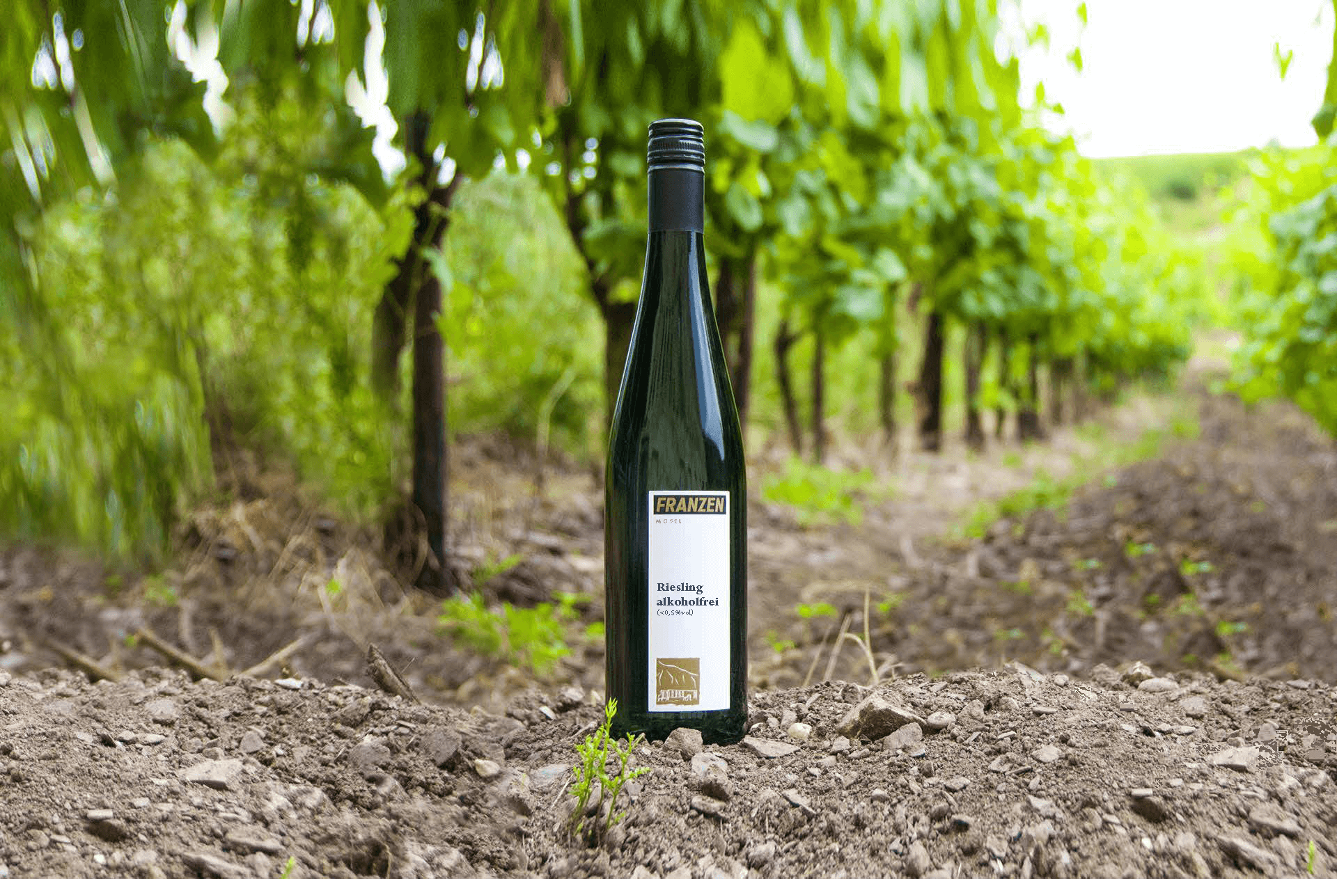 Riesling | alkoholfrei